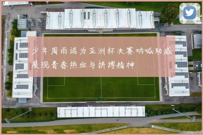 少年周雨诺为亚洲杯决赛呐喊助威展现青春热血与拼搏精神